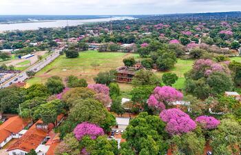 Los lapachos rosados perfuman la ciudad de San Antonio.