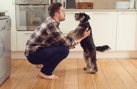 Hombre hablando con su perro.