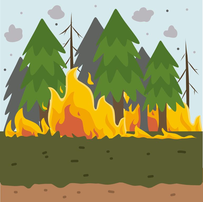 Repaso sobre los valores