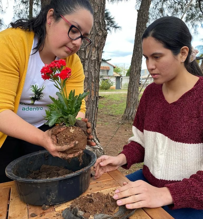 Los productores de Cabañas se esfuerzan día a día para ofrecer flores y plantas de gran belleza y calidad.