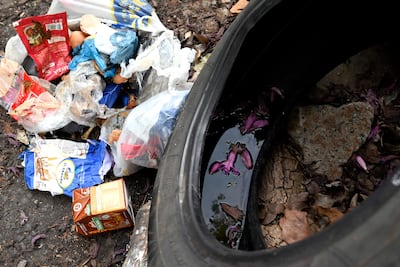 Un entorno descuidado con bolsas de basura, un neumático viejo y hojas secas en el suelo, sin personas visibles.