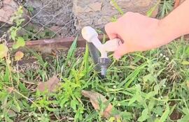 Pobladores de los barrios Las Colinas, Santa Teresita y Pura Limpia Concepción sufren por la falta de agua.