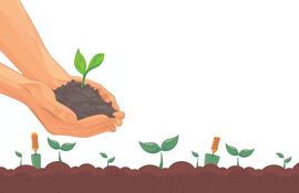 Suelos arcillosos, humíferos y arenosos