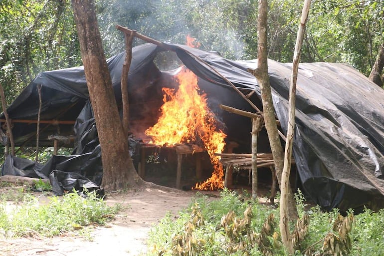 Campamentos clandestinos narcos han sido destruidos durante la Operación Nueva Alianza 56 en Amambay.