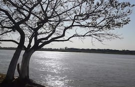 Paisaje de río tranquilo en Fuerte Olimpo