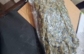 Bolsa plástica transparente con marihuana sobre mesa, rodeada de documentos en un ambiente de incautación.
