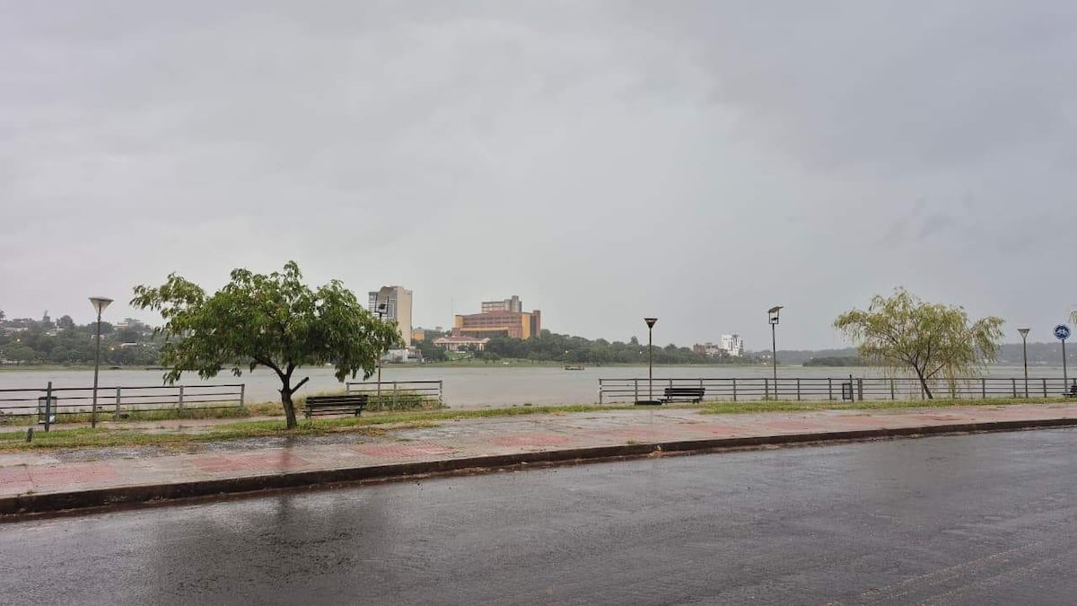 Alerta meteorológica: tormentas eléctricas para esta tarde