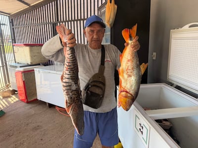 Hombre con camiseta gris y gorra azul sostiene dos peces grandes en un mercado, rodeado de un congelador blanco.