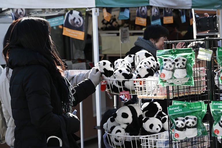 Personas observan peluches de panda mientras visitan el Zoológico de Ueno en Tokio, Japón, el 25 de enero de 2026.