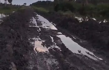 Camino de tierra en mal estado, debido a la falta de reparacion