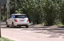 En esta captura de pantalla se observa cómo el animal sigue al vehículo de su dueña, que lo abandonó.