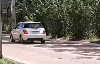 En esta captura de pantalla se observa cómo el animal sigue al vehículo de su dueña, que lo abandonó.