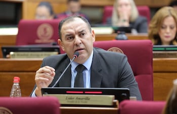 Líder Amarilla, senador del PLRA. Foto: Prensa Senado.
