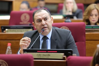Líder Amarilla, senador del PLRA. Foto: Prensa Senado.