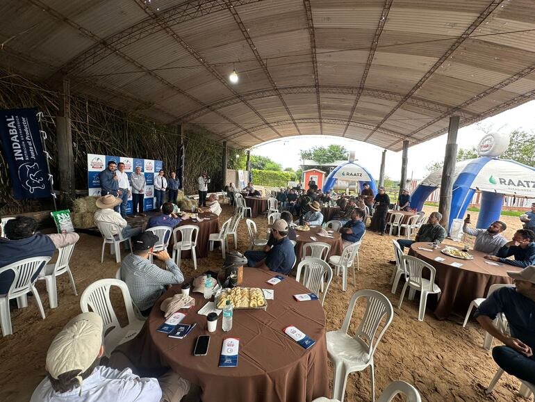 Imagen sin descripción