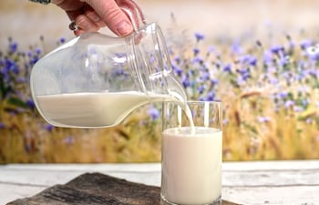 Día mundial de la leche.