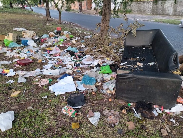 Vertederos improvisados en Asunción: imagen desastrosa en avenida Estados Unidos - Nacionales
