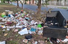 Basura esparcida por todo el suelo, incluyendo plásticos y papeles, en un área urbana con vegetación y calles pavimentadas al fondo.