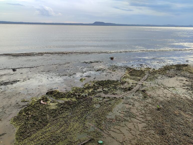 Después de unas horas el agua cambió de color pero en la orilla del lago quedaron rastros de lo verde y un fuerte mal olor.