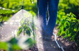 Fertilizantes