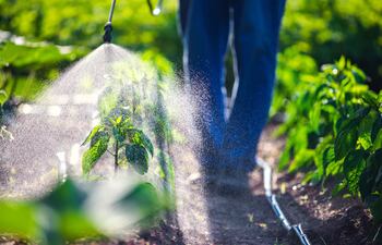 Fertilizantes
