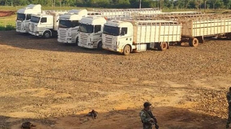 Varios de los camiones con carretas con doble fondo que fueron incautados en el operativo A Ultranza. Los mismos eran utilizados para mover la droga de un punto de acopio a otro.