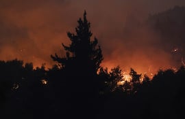 Fotografía que muestra un incendio forestal este lunes, en la comuna de Chaimávida, en Concepción a unos 491 km aproximadamente de Santiago (Chile). EFE/ Adriana Thomasa