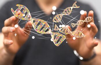 ADN, imagen ilustrativa.