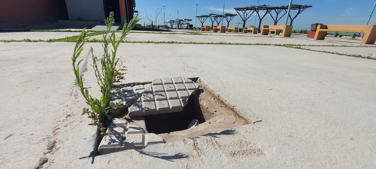 La Costanera Sur alberga numerosos y peligrosos pozos.