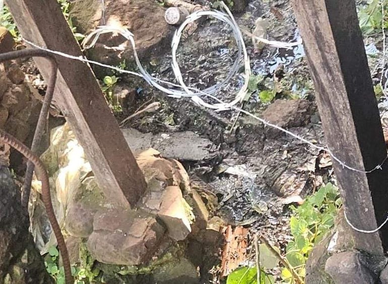 Entorno natural descuidado con agua estancada, vegetación y postes de madera atados con alambre, sin personas presentes.