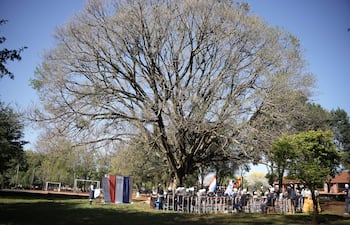 Personas con camisetas de un mismo color escuchan a un orador bajo un gran árbol, con arcos de fútbol al fondo.