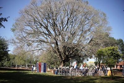 Personas con camisetas de un mismo color escuchan a un orador bajo un gran árbol, con arcos de fútbol al fondo.