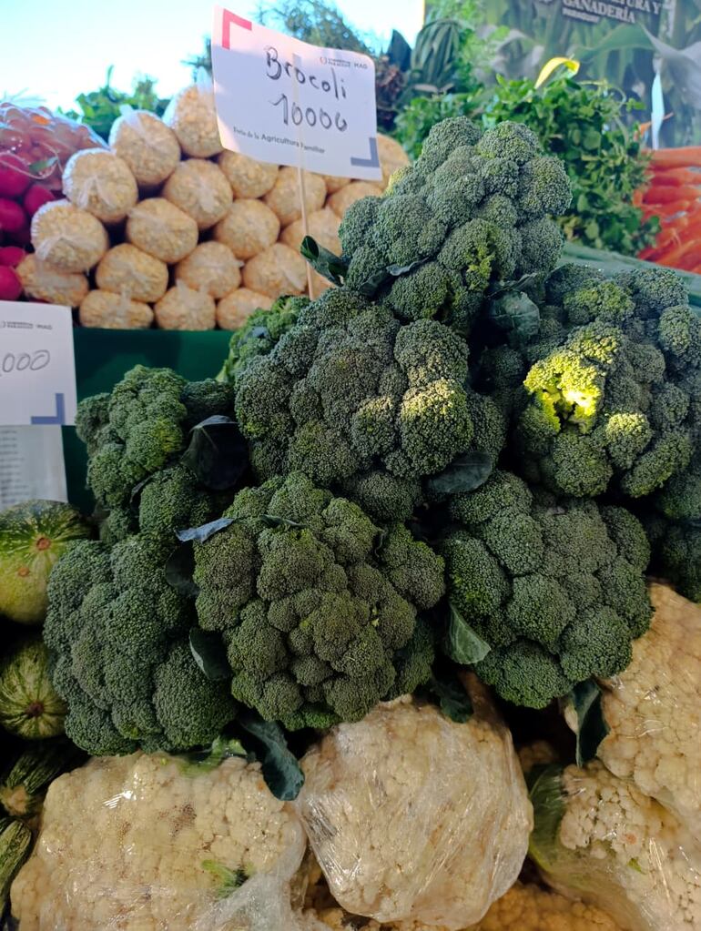 Feria de la agricultura familiar en la Costanera.