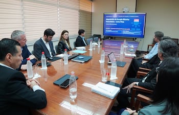 ANDE presentó en audiencia pública virtual el pliego de bases y condiciones para el proyecto de energía solar en Loma Plata.
