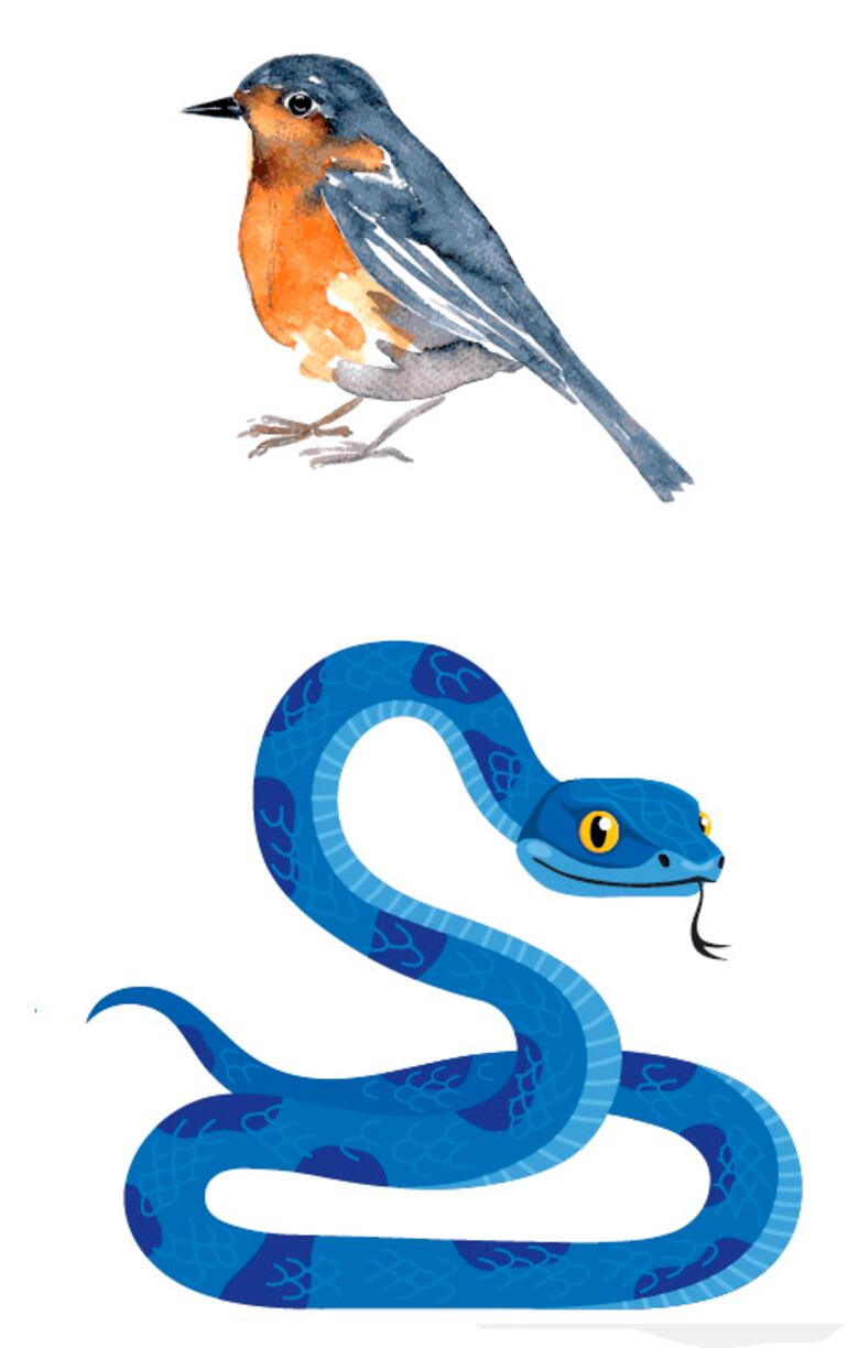 Estadística (Parte 4)