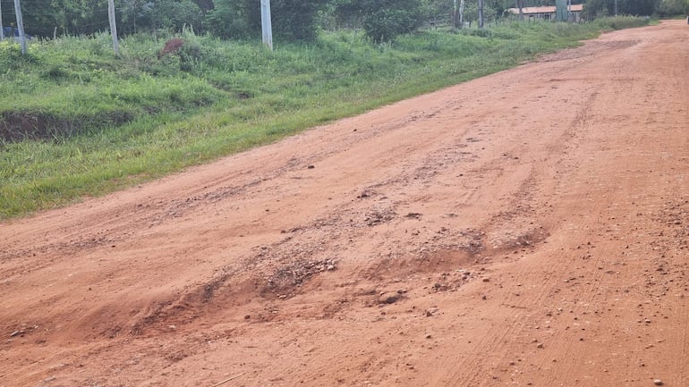 Camino de tierra con irregularidades, flanqueado por vegetación verde y postes, en un entorno rural tranquilo.