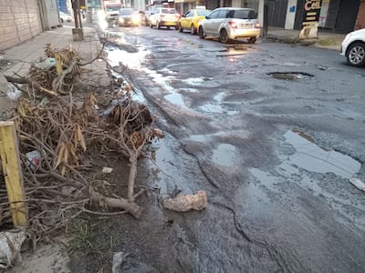 Una lástima y un verdade peligro es el estado en el que se encuentra la Avenida Leopardi.