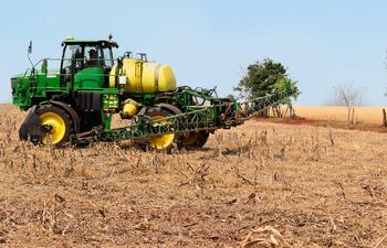 Según, el Ing. Agron. Ortiz, el productor no puede especular: “Fracasar en la desecación será un dolor de cabeza hasta en la cosecha.