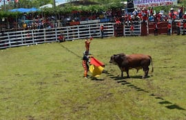 Toreros del noveno departamento destacan el valor cultural y laboral de la tradición taurina de Paraguarí.