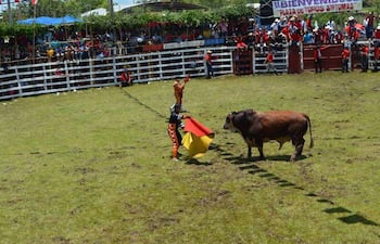 Toreros del noveno departamento destacan el valor cultural y laboral de la tradición taurina de Paraguarí.