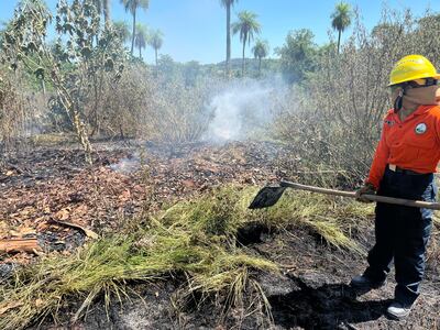 El Cuerpo de Bomberos Voluntarios Forestales de Caacupé, expresó su preocupación por el aumento de incendios que se reportan en la zona y en las localidades aledañas.