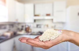 Arroz, imagen ilustrativa.