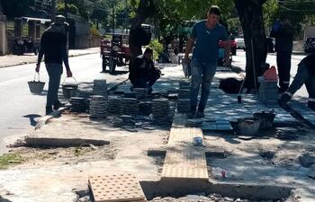 Continúa el cambio de pisos del paseo central en la avenida Carlos A. López.