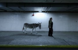 La cuidadora Angelina Borello y Wanda, la burra, llegan a la Ópera Metropolitana antes de una presentación de La Bohème en el MET Opera de la ciudad de Nueva York, el 6 de diciembre de 2025.