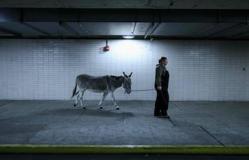 La cuidadora Angelina Borello y Wanda, la burra, llegan a la Ópera Metropolitana antes de una presentación de La Bohème en el MET Opera de la ciudad de Nueva York, el 6 de diciembre de 2025.