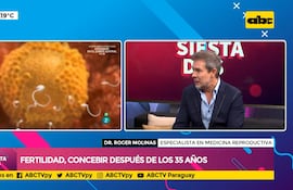 fertilidad