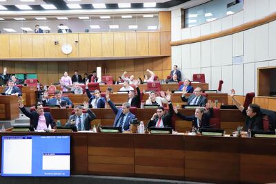 Sesión del Senado (Foto: Gentileza Prensa Senado)