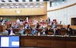 Sesión del Senado (Foto: Gentileza Prensa Senado)