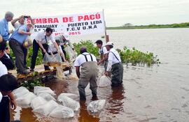 Los voluntarios japoneses están asentados en la localidad de Puerto Leda, en Alto Paraguay. Foto ilustrativa.