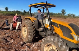 Productores de la Calle 8.000 Defensor del distrito de Santaní trabajan en el encalado de una parcela agricola